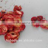 Fruits and Vegetables Dehydration Machines thumbnail-3