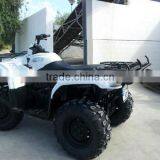 CUADRONES thumbnail-5