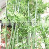 Wholesale Handmade Bamboo Trunks and Branches Artificial Green Bamboo