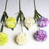 SJ13001115 Loyal Decorative 2 Heads Onion Flowers Sell by Factory Price thumbnail-4