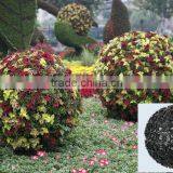 Plastic PP Garden Big Ball Planter thumbnail-1