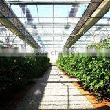 Wholesale Multi-span Low Cost Agricultural Greenhouse thumbnail-1