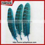 Natural Ringneck Rounds Cheap Dyed Pheasant Feathers Sale thumbnail-3