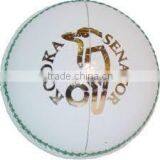 T-20 Cricket Balls thumbnail-1