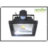 20W or 30W 3000k, 4000k, 5000k Customized Led Floodlight With Sensor (150W, 50hz)