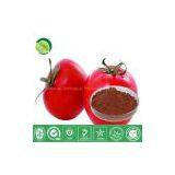 Tomato Powder thumbnail-1