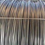 HTB1l3o2cAOWBuNjSsppq6xPgpXa7