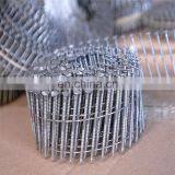 COIL NAILS CLAVOS HELICOIDALES 1000PCS/2000PCS/3000PCS thumbnail-6