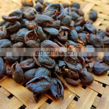 Hot Sale Cascara Tea Healthy/Cascara Tea From Vietnam thumbnail-4