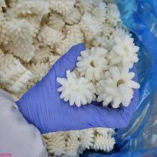 Squid Flower thumbnail-3