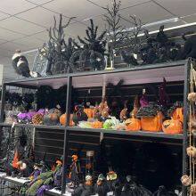 Shenyang For Star IMP & EXP CO.,LTD company overview - view 4 thumbnail