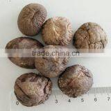 China Dried Smooth Shiitake Mushroom in Different Cap Size 3-8CM