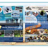 Advertisement Flyer Printing Service, Posters, Propaganda Flyers Quality Choice thumbnail-2