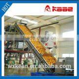 Staliess steel/plastic paddle elevator conveyor