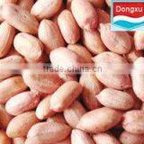 Long Peanut Kernel