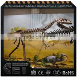 musement equipment dinosaur skeleton excavation kit Holiday Gift