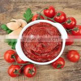 Factory supply high concentrated canned tomato paste