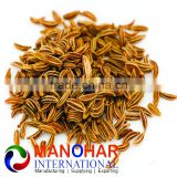 Cumin seeds In India