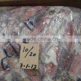 FROZEN LOLIGO SQUID thumbnail-3