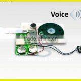 Greeting Card Voice Recorder