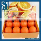 Trade assurance Orange Lime Saver & Keep Cut Oranges shape & Limes Fresh & Fragrant