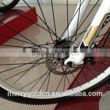 Mid Drive Motor 36v 250w Disc Brake Electric Bike thumbnail-4