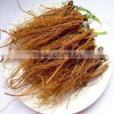Red Ginseng Export Ginseng Korea Red Ginseng Manufacturers thumbnail-3
