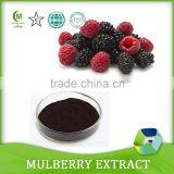 100% Natural Pigment Mulberry Fruit Extract/ Mulberry Extract Powder Bulk