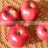 2016 New Crop Fresh Apple China Gansu Tianshui Huaniu Apple thumbnail-2