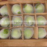 Fresh Early su Pear Juicy su Pear With Best Price for Export thumbnail-6