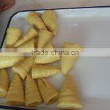 Canned Bamboo Shoots (tip) thumbnail-1