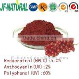 grape skin extract resveratrol 5%