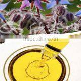 NSF Essential Borage Oil