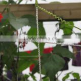 Plastic net for flowers and climbing plants support