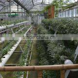 Agricultural Hydroponic NFT Planting Growing System thumbnail-4