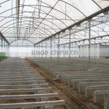 Factory Price High Quality Commercial/agricultural Used Film Covering Greenhouse for Sale thumbnail-6