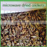 For Mouse & Fish & Cat Microwave Dried Crickets Wild Bird Pet Food thumbnail-4