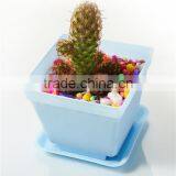 Plastic Colorful Small Square Flower Pots With Pallet Tray Saucer for Decoration of Home Office Desk Garden Flower Sh thumbnail-3