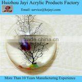 High Quality Acrylic Special Hanging Fish Tank thumbnail-2