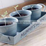 Colorful Garden Pot thumbnail-3