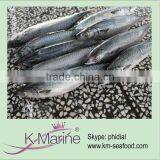 Scomber Japonicus Fish For Canned Mackerel Lot Number#kmw4044 thumbnail-1