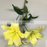 New Arrival Fresh Cut Yellow Lily Flower thumbnail-3