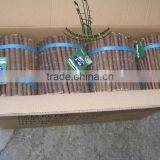 Willow Edging Borders thumbnail-6