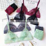 Runwaylover 5391 Hot Sale Ladies Sexy Embroider Sexy Bra and Panty Set thumbnail-3