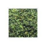 Dehydrated Celery Leaves thumbnail-1