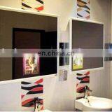 LED Advertising Mirror