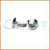 China Supplier Anti-theft Screws/security Screws Fasteners thumbnail-6