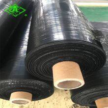 Plastic Mulch Film for Strawberry Planting thumbnail-4