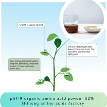 Factory Supply Alkaline Amino Acid Powder 52% Excellent Flowing no Caking
