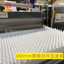 Powerful Molding Machine Embossing Machine Egg Slot Forming Press Mattress Forming Press thumbnail-3